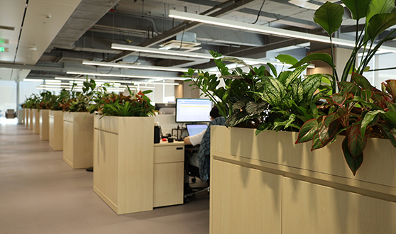 威客电竞·VKGAME(中国区)官方网站