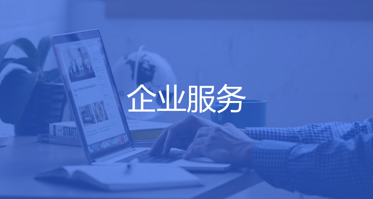company-seller